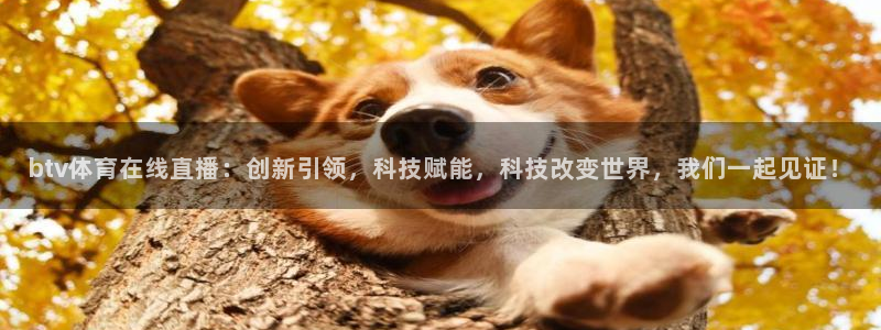 btv体育在线直播：创新引领，科技赋能，科技改变世界，我们一起见证！