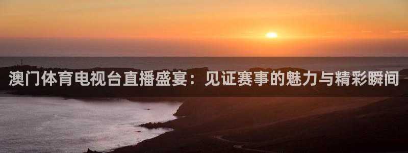 澳门体育电视台直播盛宴：见证赛事的魅力与精彩瞬间