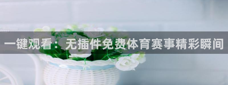 一键观看：无插件免费体育赛事精彩瞬间